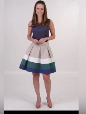 Zara Colour Block Pleated Skirt